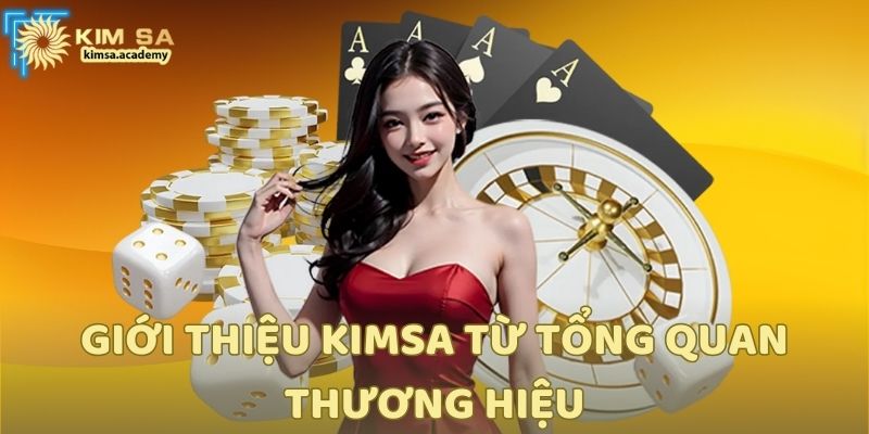 Giới thiệu Kimsa từ tổng quan thương hiệu