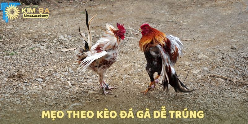 Gợi ý cách theo kèo hiệu quả khi chơi