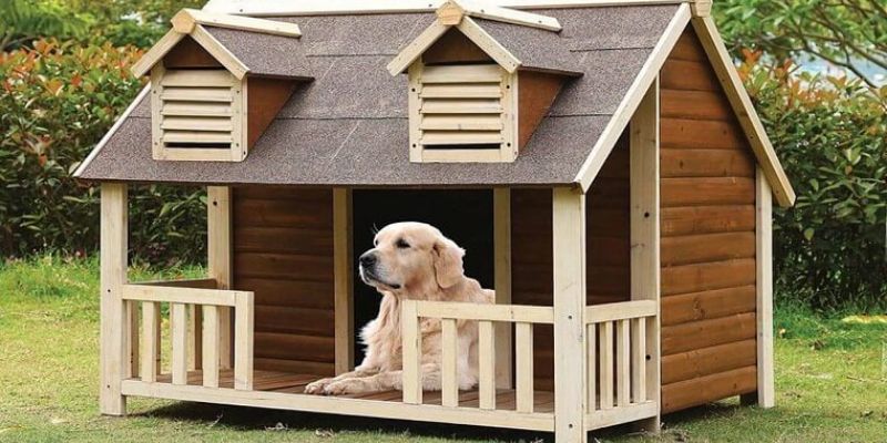 Chó Vào Nhà Đánh Con Gì - Giải Mã Điềm Lô Chuẩn Xác
