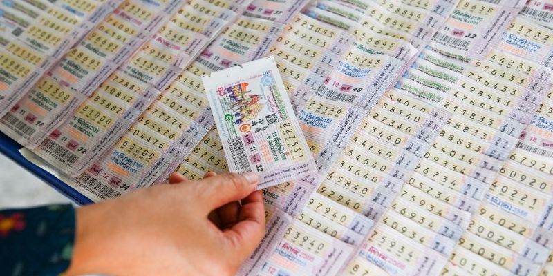 Nhịp lặp đều của đầu đuôi là tín hiệu đáng chú ý
