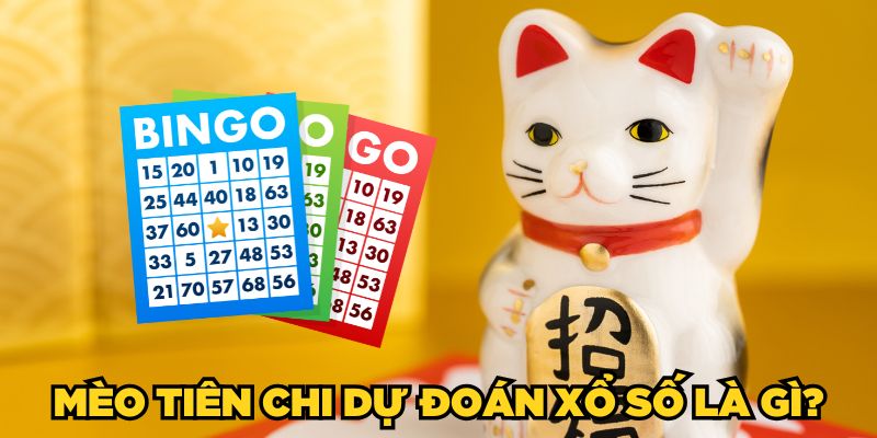 Mèo tiên chi dự đoán xổ số là gì?
