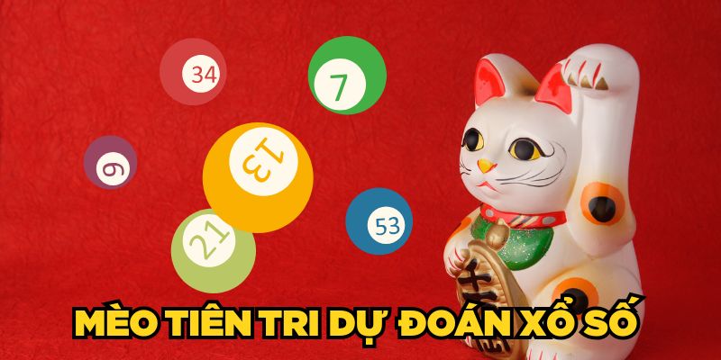 Mèo Tiên Tri Dự Đoán Xổ Số Có Chuẩn Không? Bật Mí Từ A - Z
