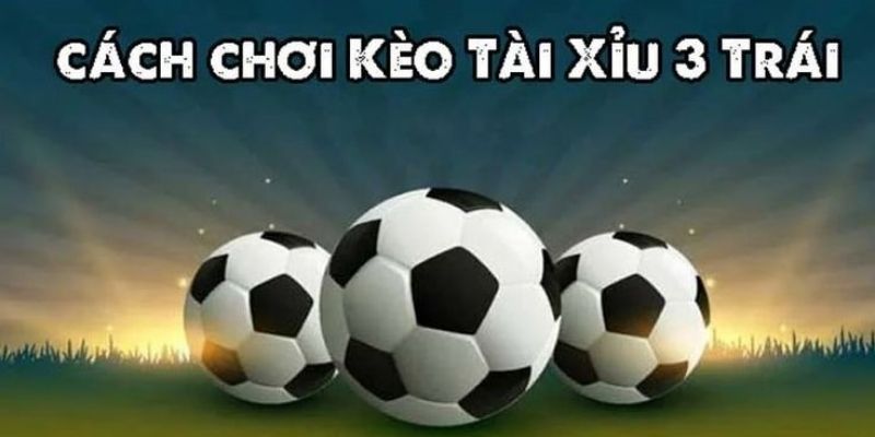 Tài Xỉu 3 Trái Là Gì - Thể Loại Cược Lợi Nhuận Khủng