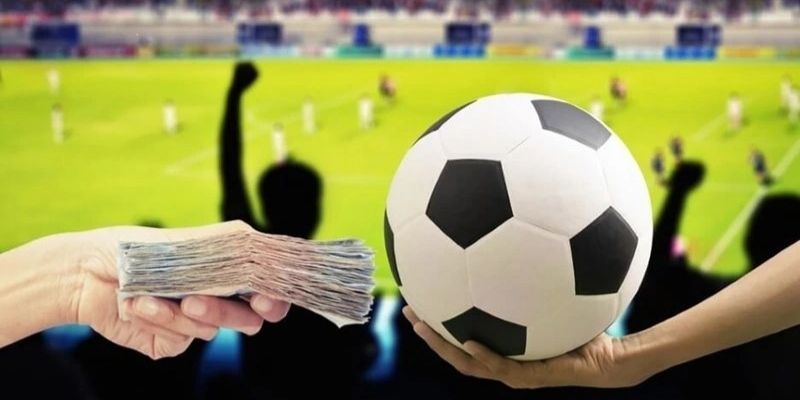 Ưu điểm khi học hỏi mẹo phân tích độ bóng