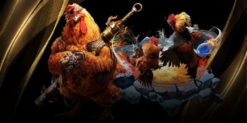 Đá Gà 88 Trực Tiếp Phát Sóng Độc Quyền Trên Kimsa