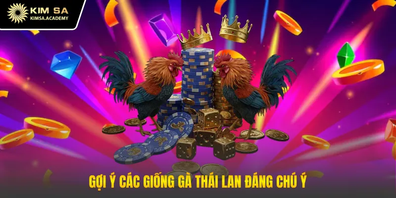 Gợi ý các giống gà Thái Lan đáng chú ý