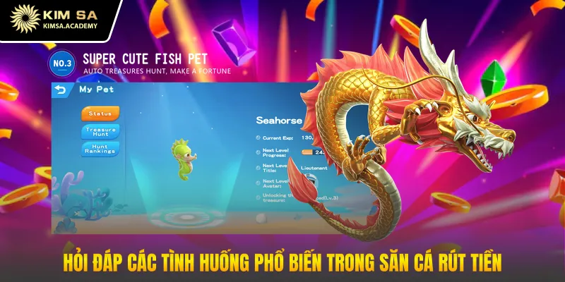 Hỏi đáp các tình huống phổ biến trong săn cá rút tiền