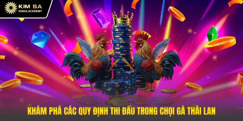 Khám phá các quy định thi đấu trong chọi gà Thái Lan