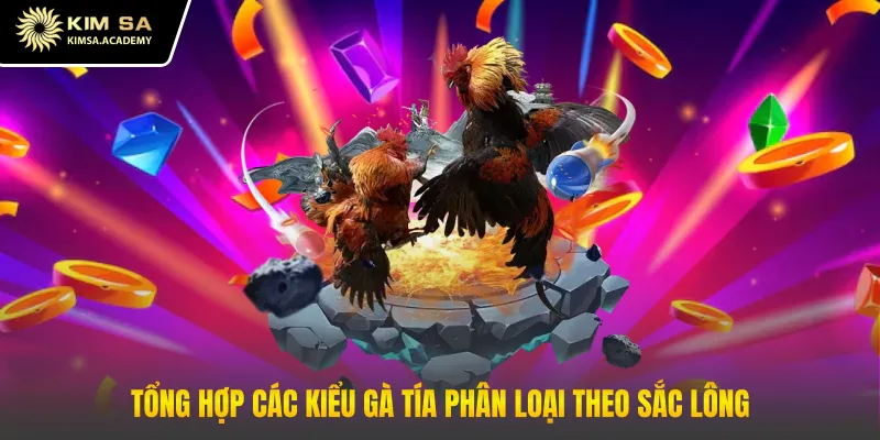 Tổng hợp các kiểu gà tía phân loại theo sắc lông