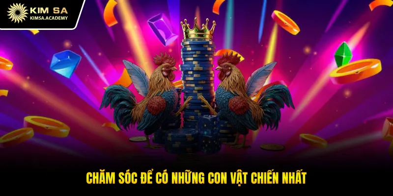 Chăm sóc để có những con vật chiến nhất