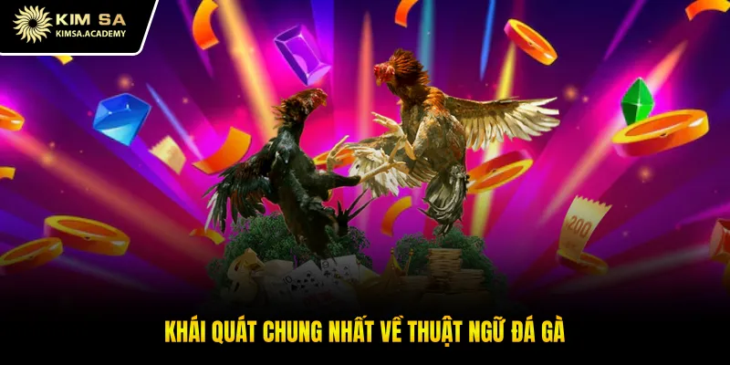 Khái quát chung nhất về thuật ngữ đá gà