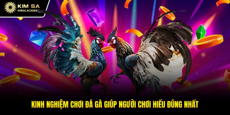 Kinh nghiệm chơi đá gà