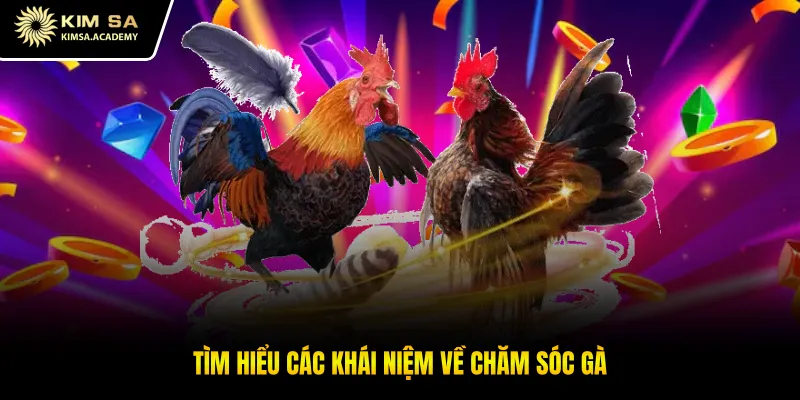 Tìm hiểu các khái niệm về chăm sóc gà