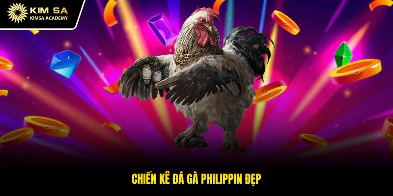 Chiến kê đá gà philippin đẹp