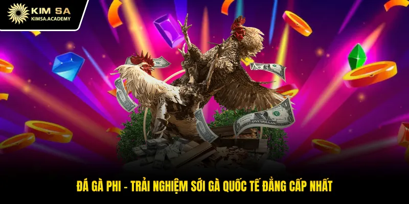 Đá Gà Phi - Trải Nghiệm Sới Gà Quốc Tế Đẳng Cấp Nhất