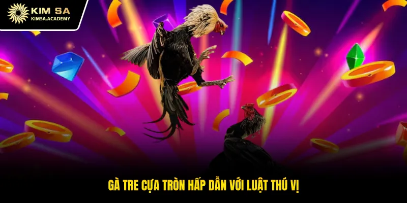 Gà tre cựa tròn hấp dẫn với luật thú vị