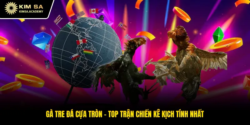 Gà Tre Đá Cựa Tròn - Top Trận Chiến Kê Kịch Tính Nhất