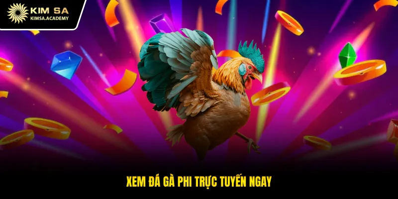 Xem đá gà phi trực tuyến ngay