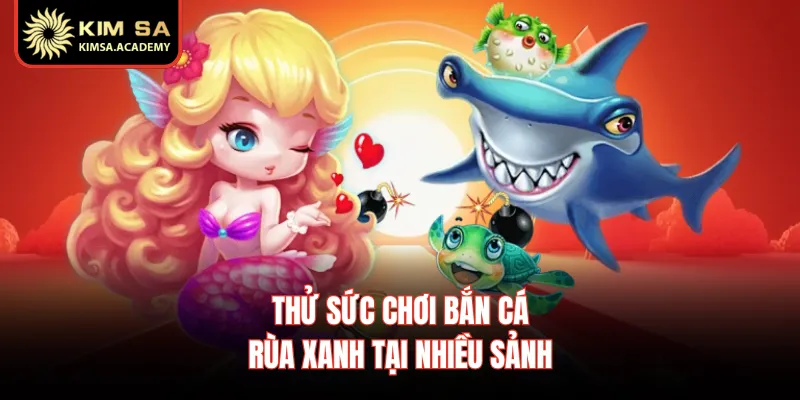 Thử sức chơi bắn cá rùa xanh tại nhiều sảnh