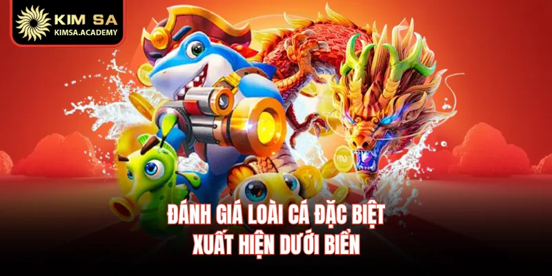 Đánh giá loài cá đặc biệt xuất hiện dưới biển