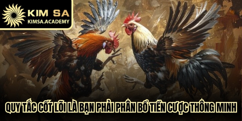 Quy tắc cốt lõi là bạn phải phân bổ tiền cược chọi gà thông minh
