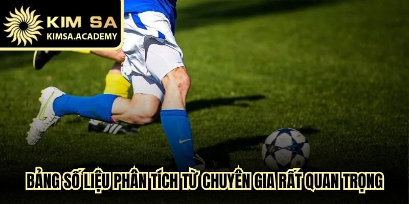 Các bảng số liệu phân tích từ đội ngũ chuyên gia rất quan trọng