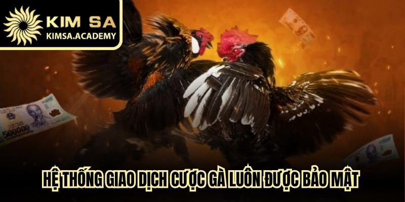 Hệ thống giao dịch cược gà luôn được bảo mật an toàn tuyệt đối 