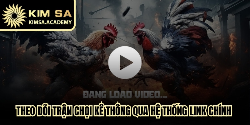 Theo dõi trận chọi kê online thông qua hệ thống link chính thống