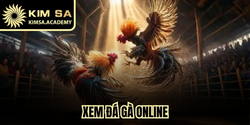 Xem Đá Gà Online