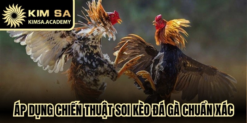 Áp dụng chiến thuật soi kèo đá gà chuẩn xác để nâng cao tỷ lệ thắng