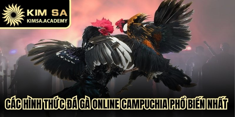 Các hình thức đá gà online campuchia phổ biến nhất 2026