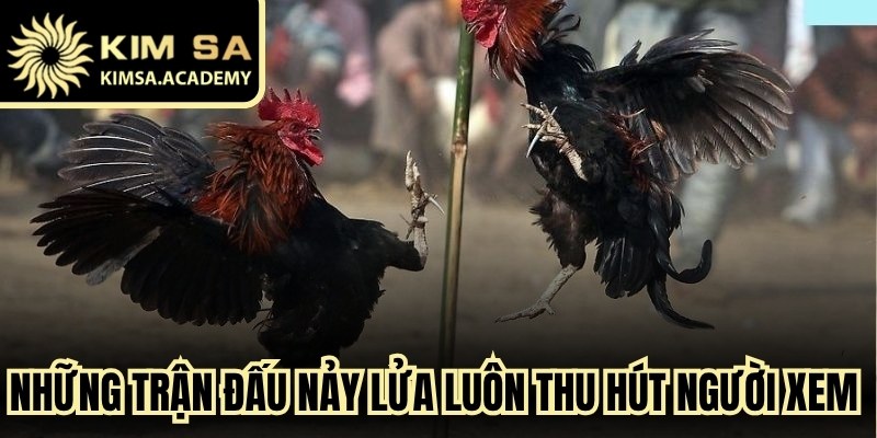 Những trận đấu nảy lửa luôn thu hút đông đảo người xem trực tuyến