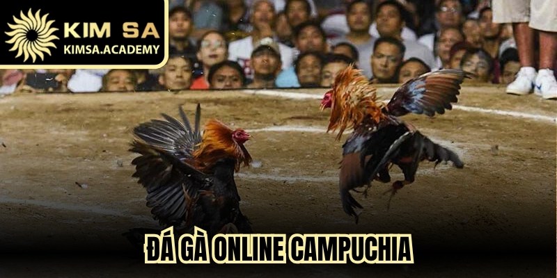 Đá Gà Online Campuchia