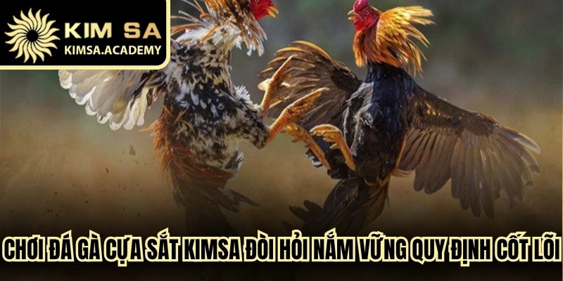 Chơi đá gà cựa sắt Kimsa đòi hỏi hội viên nắm vững quy định cốt lõi 