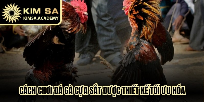 Cách chơi đá gà cựa sắt được thiết kế tối ưu hóa