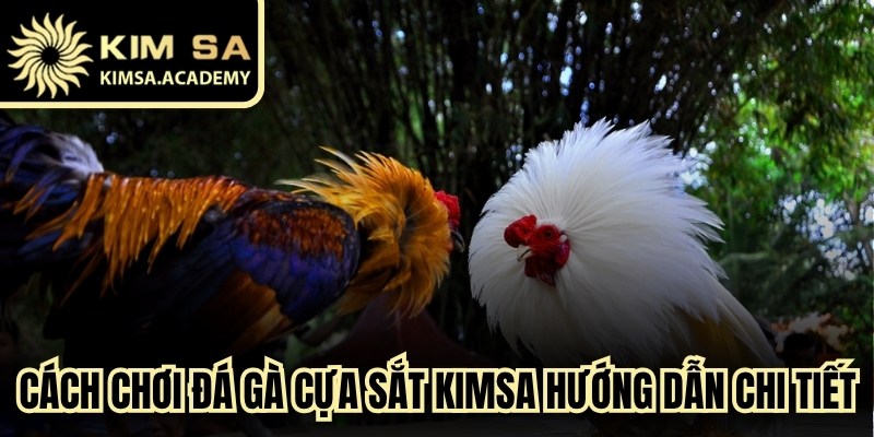 Cách Chơi Đá Gà Cựa Sắt