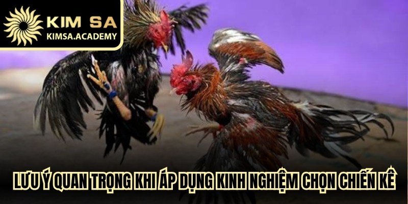 Lưu ý quan trọng khi áp dụng kinh nghiệm chọn các chiến kê
