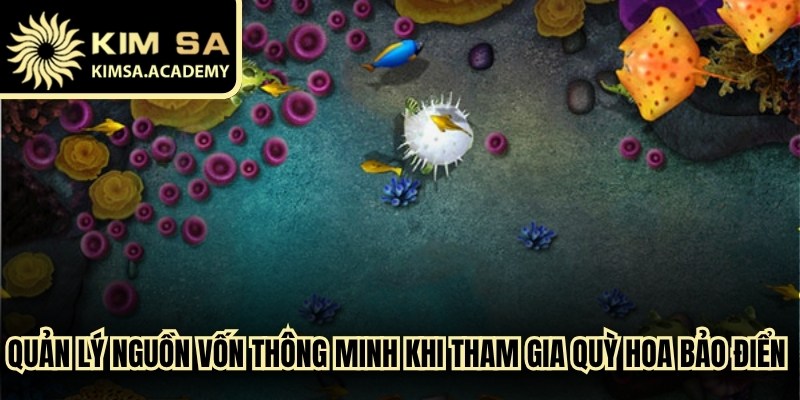 Quản lý nguồn vốn thông minh khi tham gia quỳ hoa bảo điển bắn cá