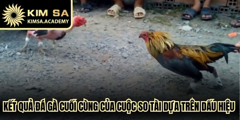 Kết quả đá gà cuối cùng của cuộc so tài dựa trên những dấu hiệu thực tế