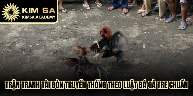 Trận tranh tài đòn truyền thống theo luật đá gà tre chuẩn