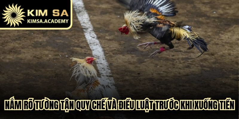 Nắm rõ tường tận các quy chế và điều luật trước khi xuống tiền