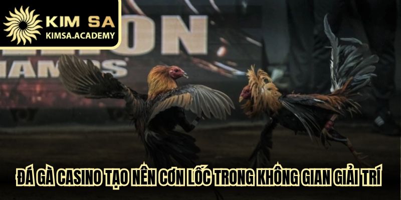 Đá gà casino tạo nên cơn lốc trong không gian giải trí mạng