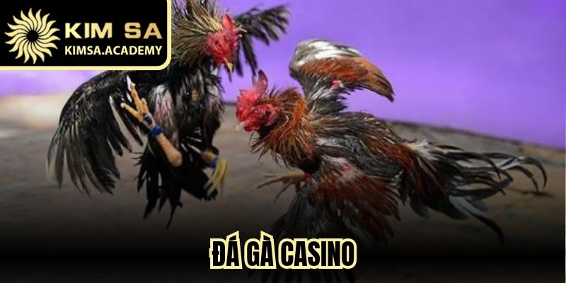 Đá Gà Casino