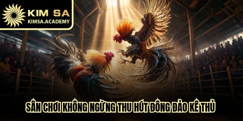 Sân chơi không ngừng thu hút đông đảo kê thủ bởi tính minh bạch