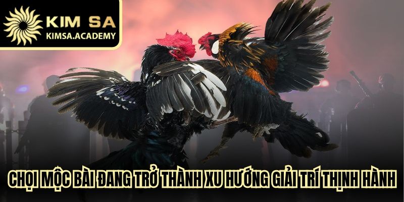 Chọi Mộc Bài đang trở thành xu hướng giải trí cực kỳ thịnh hành