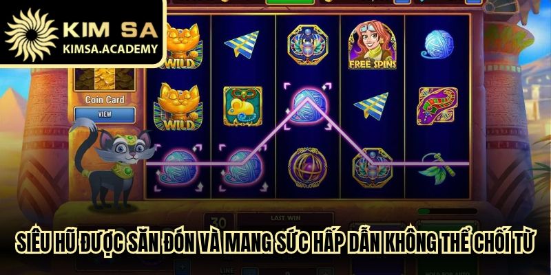 Siêu hũ đang được săn đón và mang sức hấp dẫn không thể chối từ